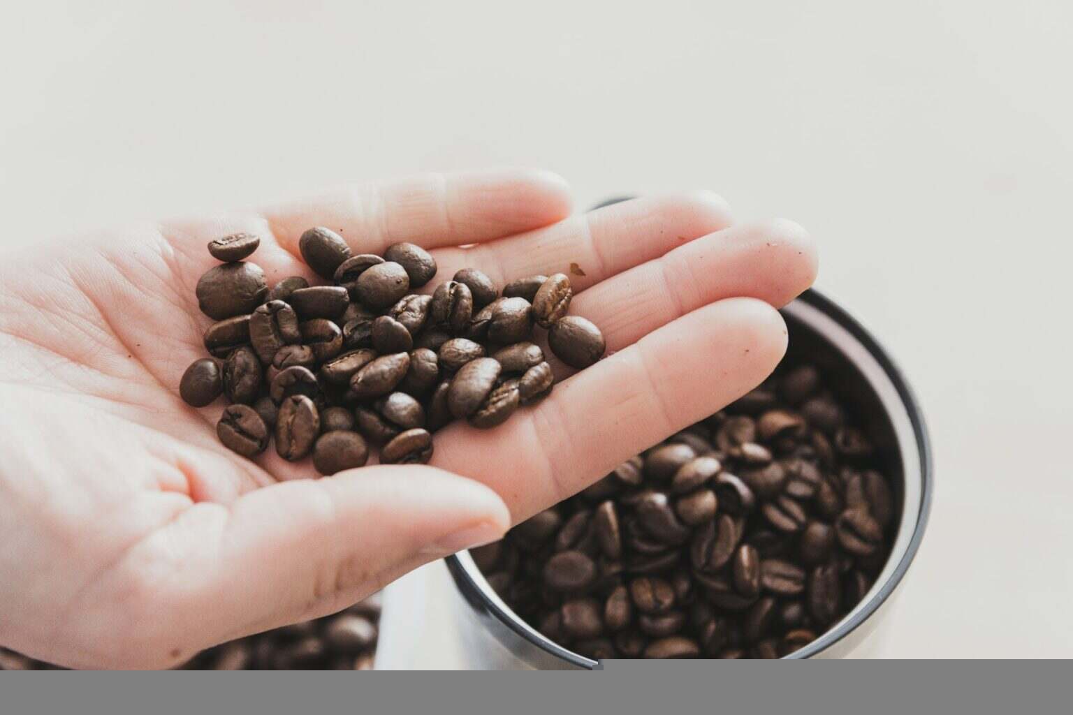 Hand full of coffee beans before grinding.
