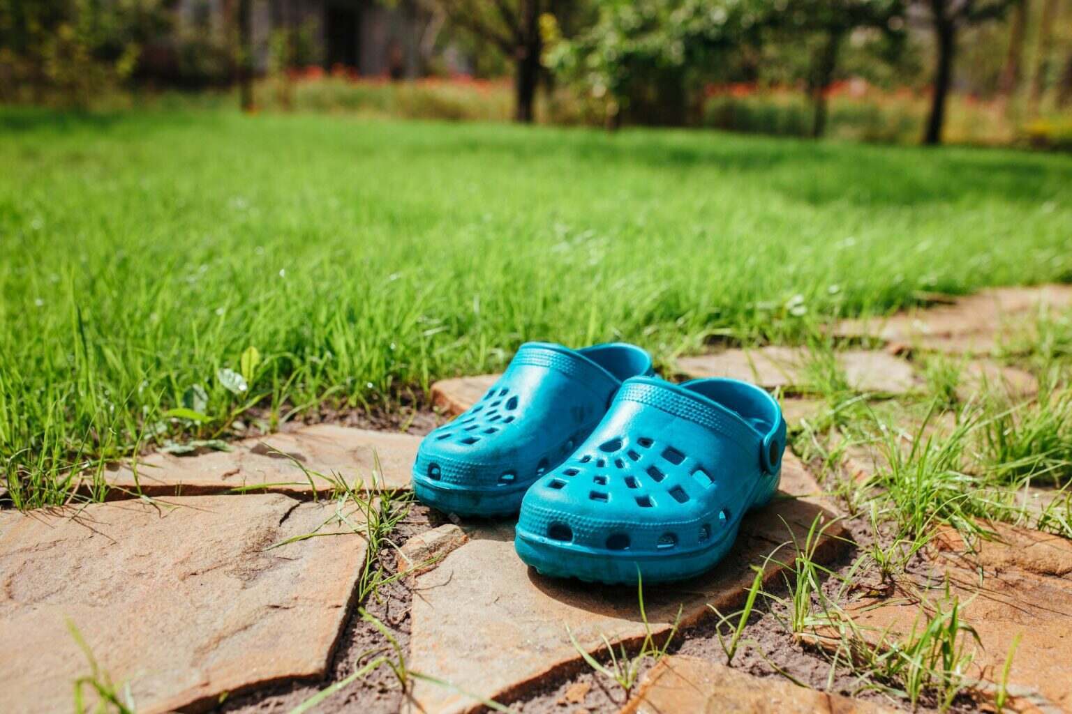 rubber sandals stand on the garden path near the lawn grass