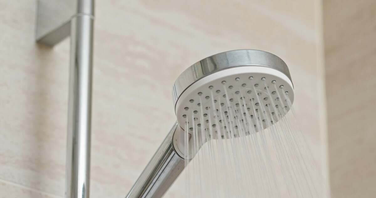 Water flow in the shower head