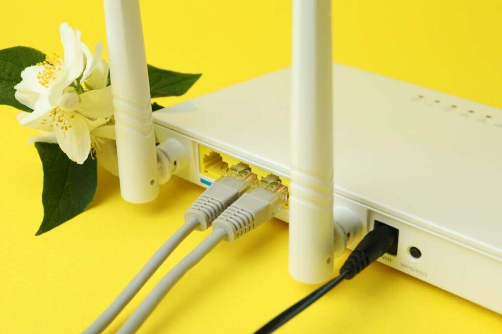 Wi-Fi router and flowers on yellow background
