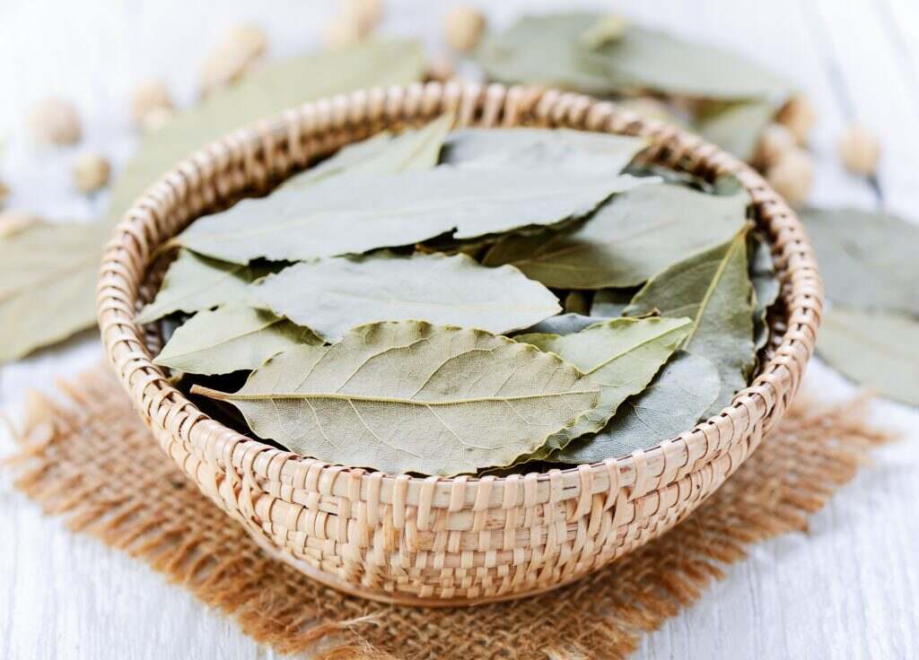 Bay leaves in a basket