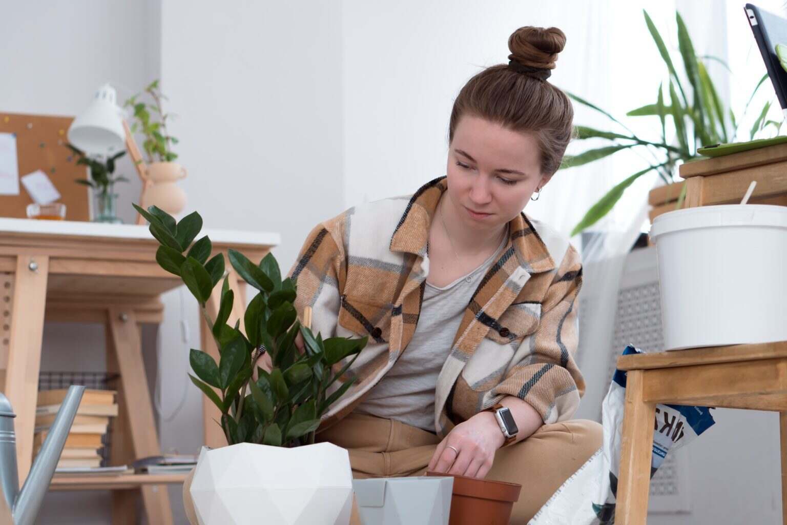 5 plantes efficaces pour combattre l’humidité dans votre intérieur Planting at home