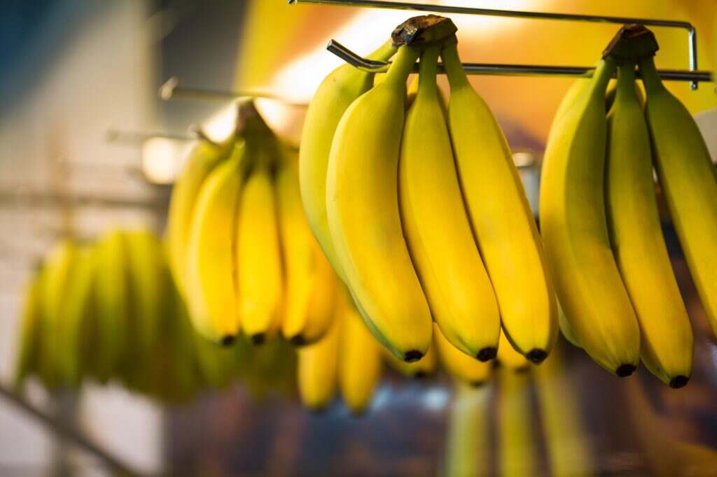 Bananas hanging for sale at the supermarket.