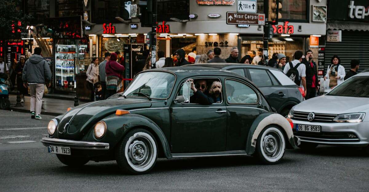 découvrez tout ce qu'il faut savoir sur le statut d'auto-entrepreneur en france : démarches, avantages, obligations fiscales et conseils pratiques pour réussir votre activité indépendante. simplifiez votre parcours entrepreneurial dès aujourd'hui !