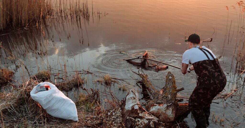 découvrez nos astuces et conseils pour un nettoyage efficace de la litière pour chat. maintenez un environnement sain et agréable pour votre félin grâce à nos techniques et produits recommandés.