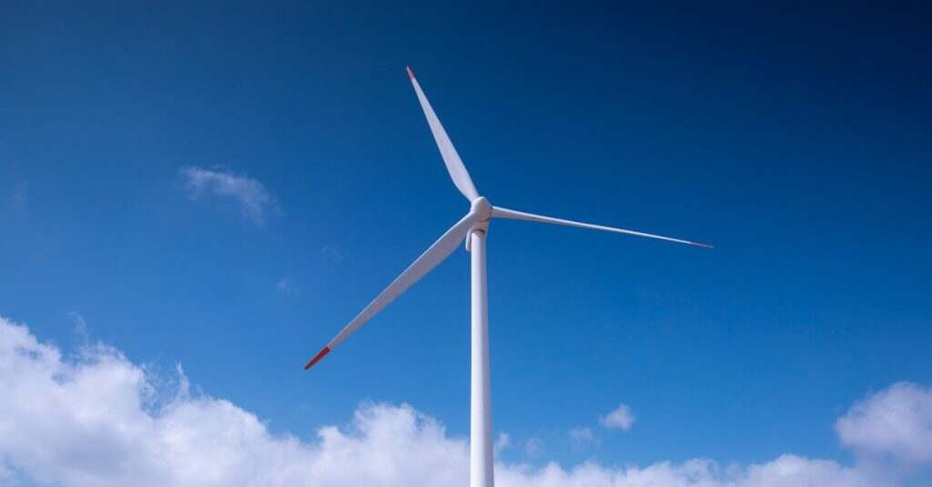 découvrez tout sur les gnats, ces petits insectes volants souvent considérés comme des nuisibles. apprenez à les identifier, à comprendre leur mode de vie et à mettre en œuvre des stratégies efficaces pour les contrôler dans votre environnement.