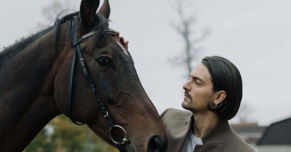 découvrez nos conseils essentiels pour l'entretien du cuir. apprenez à préserver la beauté et la durabilité de vos articles en cuir grâce à des techniques et produits adaptés. protégez vos sacs, chaussures et vêtements en cuir avec nos astuces pratiques.