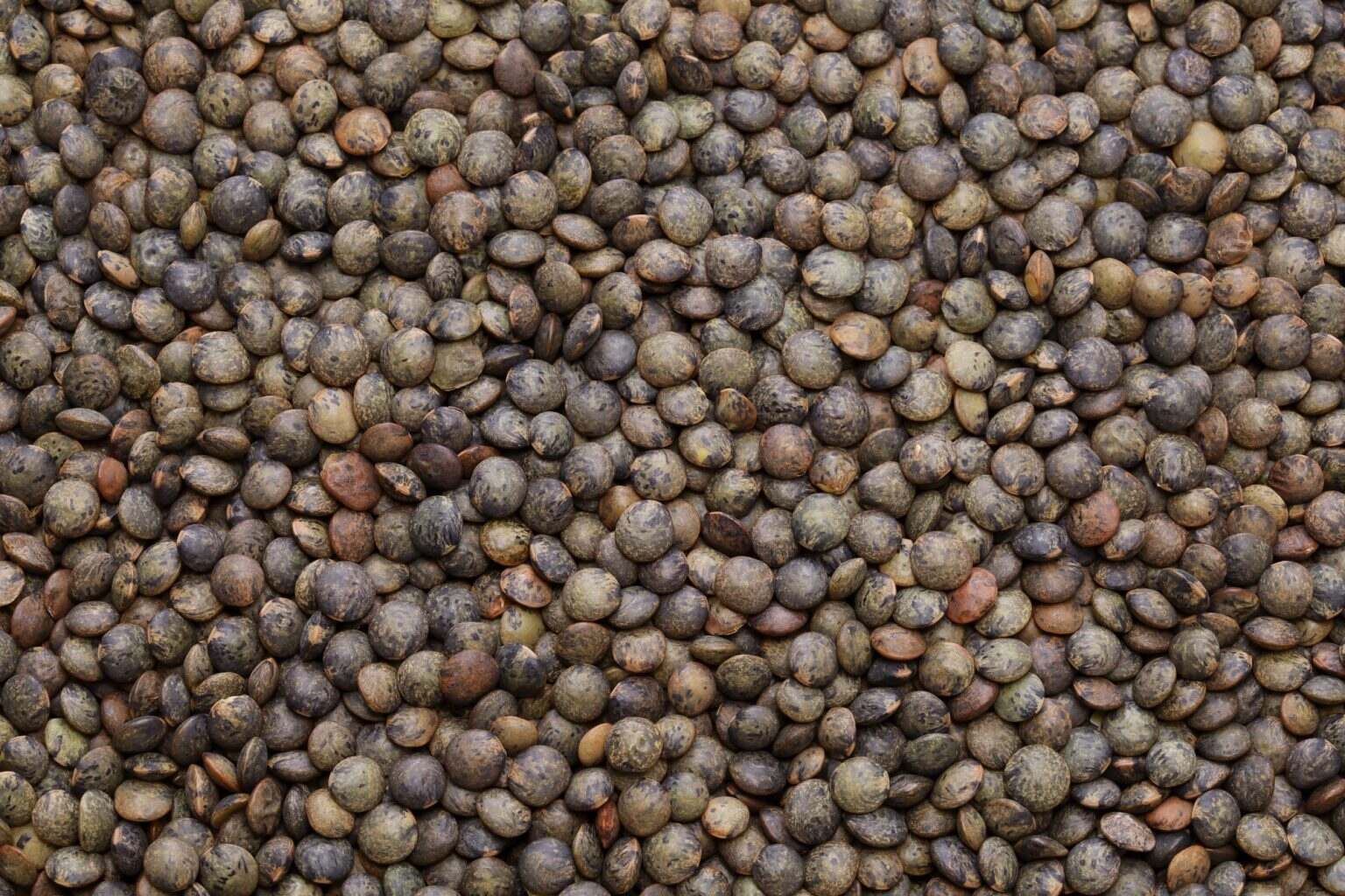 puy green lentils