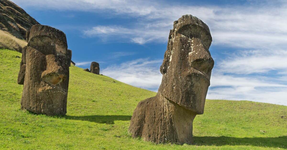 découvrez des méthodes efficaces pour éliminer les taches d'herbe de vos vêtements et tissus. suivez nos conseils pratiques pour restaurer vos textiles et leur redonner leur éclat d'origine.