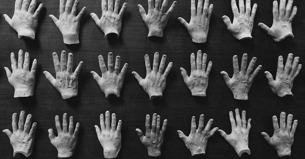 découvrez nos services professionnels d'élimination de la moisissure pour protéger votre maison et votre santé. nos experts interviennent rapidement et efficacement pour vous garantir un environnement sain, en éliminant toutes traces de moisissure.