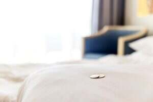 Traditional tips is laying on the corner of bed in hotel room for room cleaner