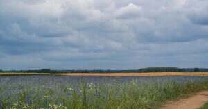 découvrez l'éco-cleaning, une approche de nettoyage respectueuse de l'environnement qui utilise des produits naturels et durables. transformez votre espace tout en préservant la planète grâce à des techniques efficaces et sûres pour votre santé.