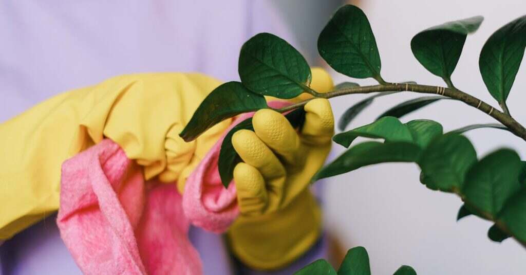 découvrez nos astuces et méthodes efficaces pour le nettoyage des feuilles. apprenez à entretenir votre jardin et à préserver la beauté de vos espaces extérieurs avec nos conseils pratiques.