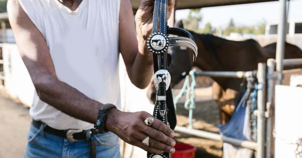 découvrez nos conseils et astuces pour le soin du cuir, afin de préserver la beauté et la durabilité de vos articles en cuir. apprenez à nettoyer, nourrir et protéger vos sacs, chaussures et vêtements en cuir avec les meilleurs produits.