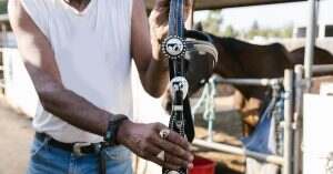 découvrez nos conseils et astuces pour le soin du cuir, afin de préserver la beauté et la durabilité de vos articles en cuir. apprenez à nettoyer, nourrir et protéger vos sacs, chaussures et vêtements en cuir avec les meilleurs produits.