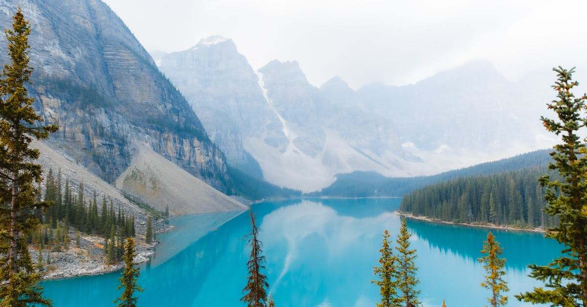 découvrez nos solutions naturelles pour un sourire éclatant grâce au blanchiment dentaire sans produits chimiques. saines et efficaces, nos méthodes vous aideront à obtenir des dents plus blanches en toute sécurité.