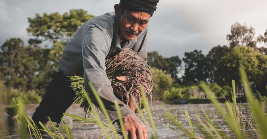 découvrez tout sur la dureté de l'eau : ses causes, ses effets sur la santé et les appareils ménagers, ainsi que des solutions pour adoucir l'eau chez vous. informez-vous sur comment mesurer la dureté de l'eau et optimiser votre consommation.
