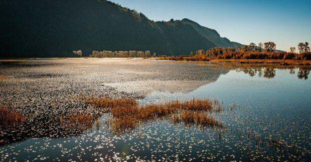 découvrez l'univers fascinant de brad pitt, l'un des acteurs les plus emblématiques d'hollywood. explorez sa carrière cinématographique, ses rôles marquants, et sa vie personnelle à travers des anecdotes et des moments clés.