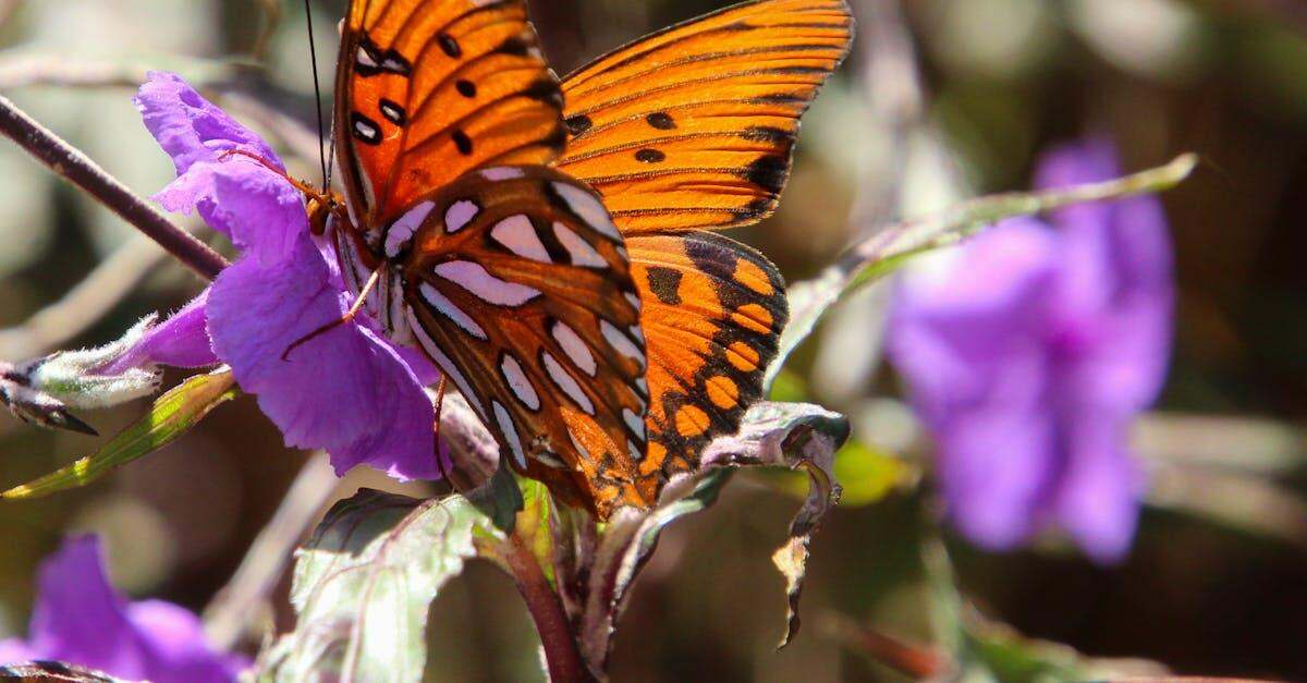 découvrez l'univers captivant de céline dion, la légendaire chanteuse canadienne, reconnue pour sa voix puissante et ses concerts spectaculaires. plongez dans sa carrière, ses plus grands succès et son impact durable sur la musique pop mondiale.