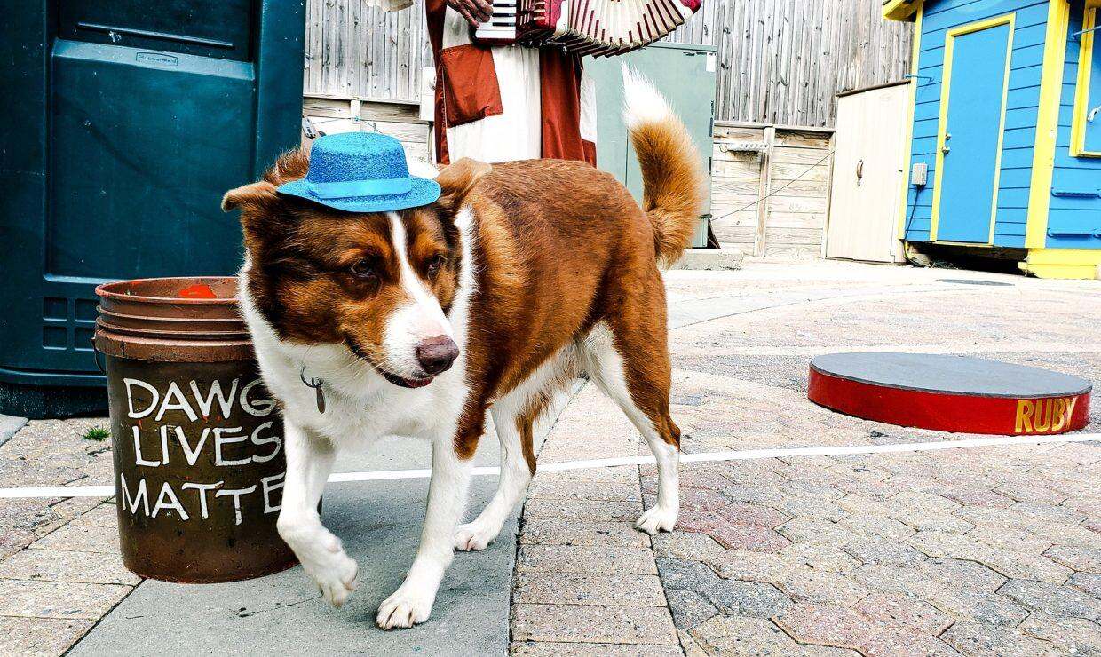 Illustration pour Conseils pratiques pour optimiser ses chances