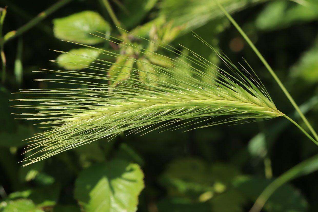 Illustration pour Les codes couleurs de l'été 2025