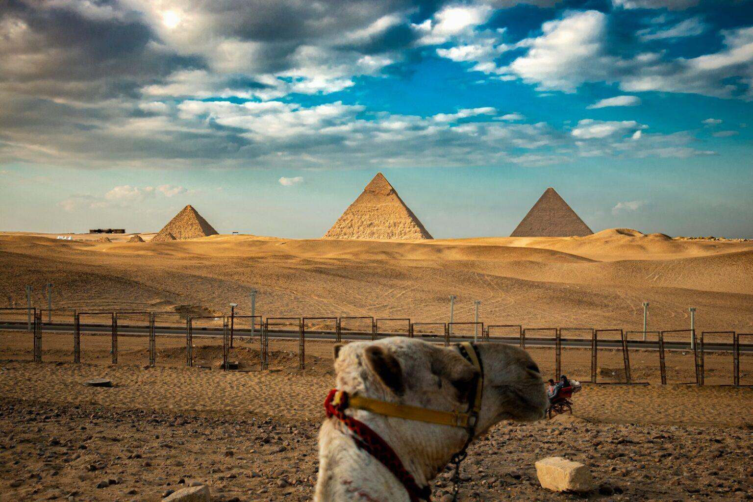Échappée Intemporelle : Un Voyage au Cœur des Civilisations a camel in a desert with three pyramids in the background
