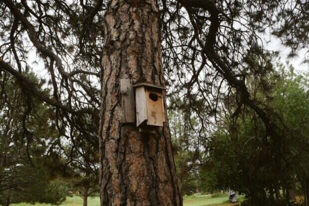 découvrez les meilleures pratiques et solutions pour sécuriser vos api, protéger vos données et garantir la confidentialité dans vos échanges applicatifs.