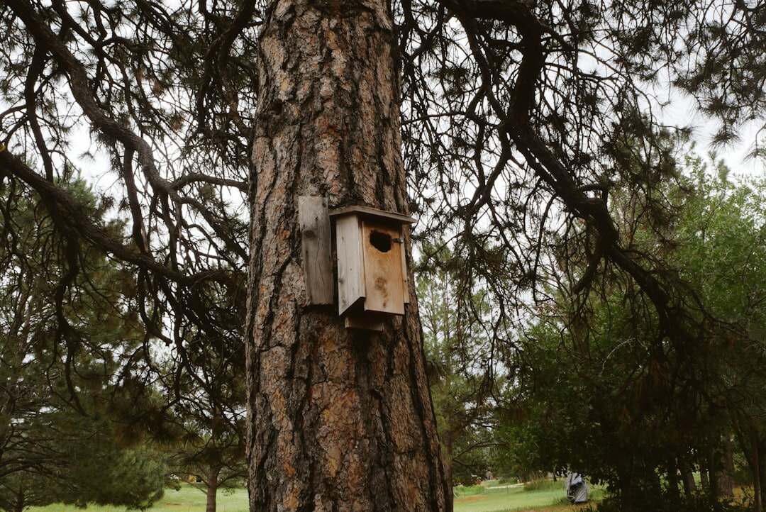 découvrez les meilleures pratiques et solutions pour sécuriser vos api, protéger vos données et garantir la confidentialité dans vos échanges applicatifs.