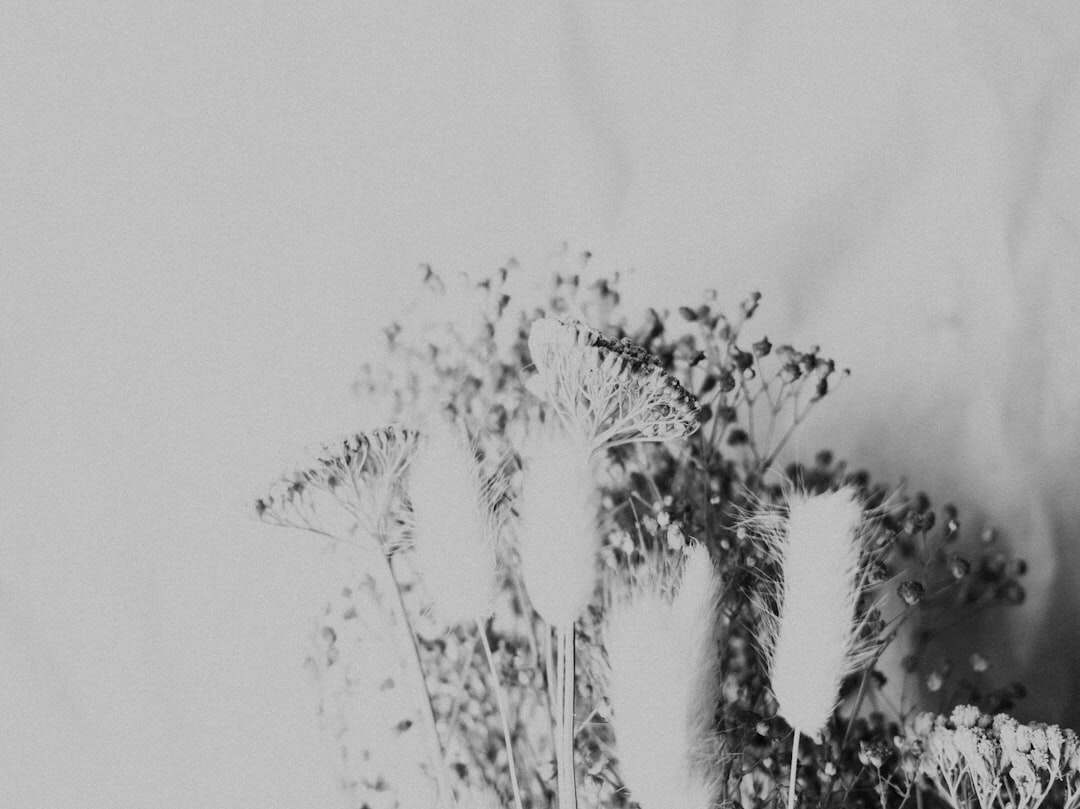 découvrez comment le filtrage de contenu protège votre expérience en ligne en bloquant les contenus indésirables et inappropriés, pour une navigation sécurisée et personnalisée.