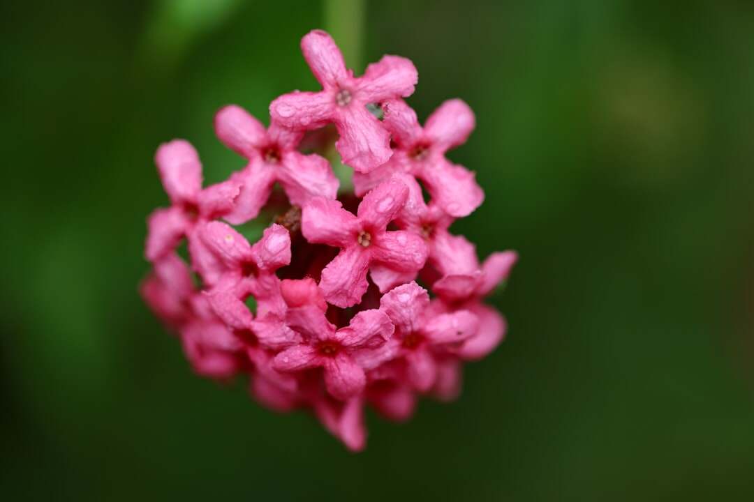 découvrez tout sur les cve : définitions, exemples et conseils pour comprendre et gérer les vulnérabilités informatiques efficacement.