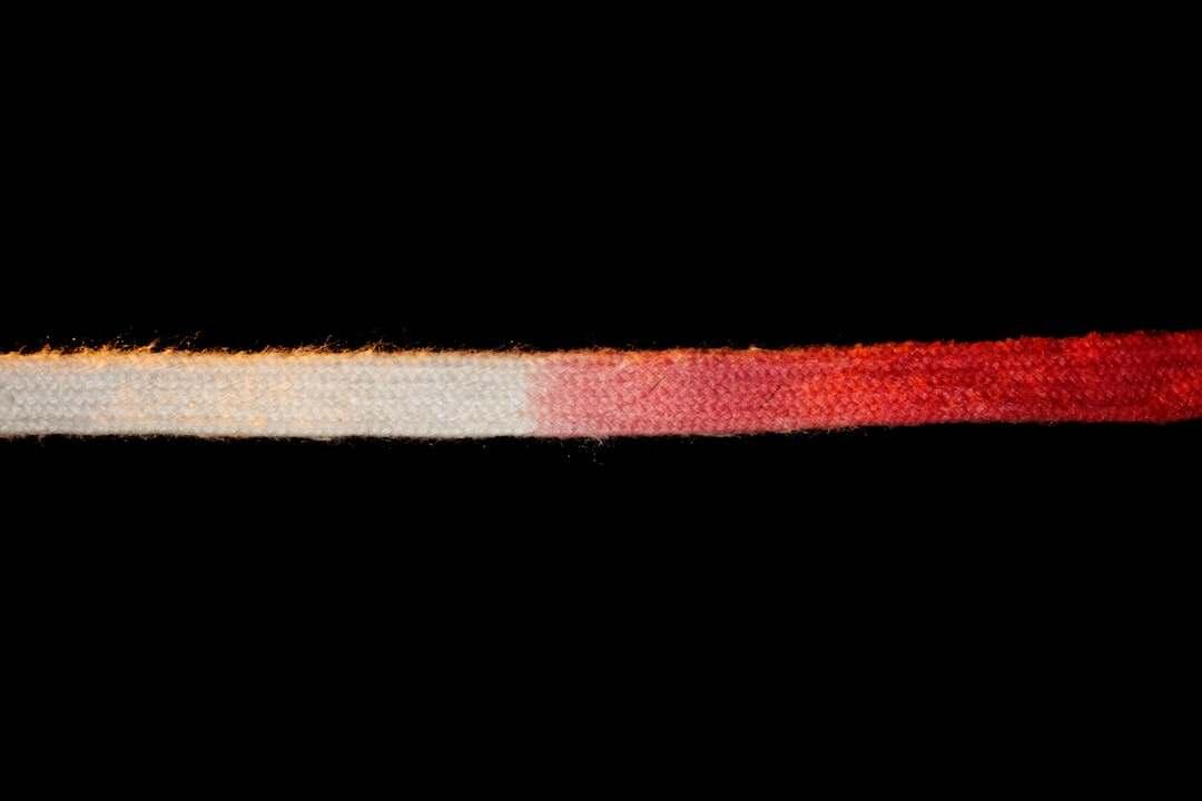 protégez votre réseau avec un pare-feu dns efficace, bloquant les menaces avant qu'elles n'atteignent vos systèmes. sécurité renforcée et contrôle optimisé du trafic dns.