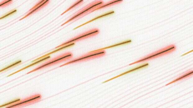 découvrez les réseaux à haute vitesse : connectivité rapide et fiable pour répondre aux besoins modernes en communication et transfert de données.