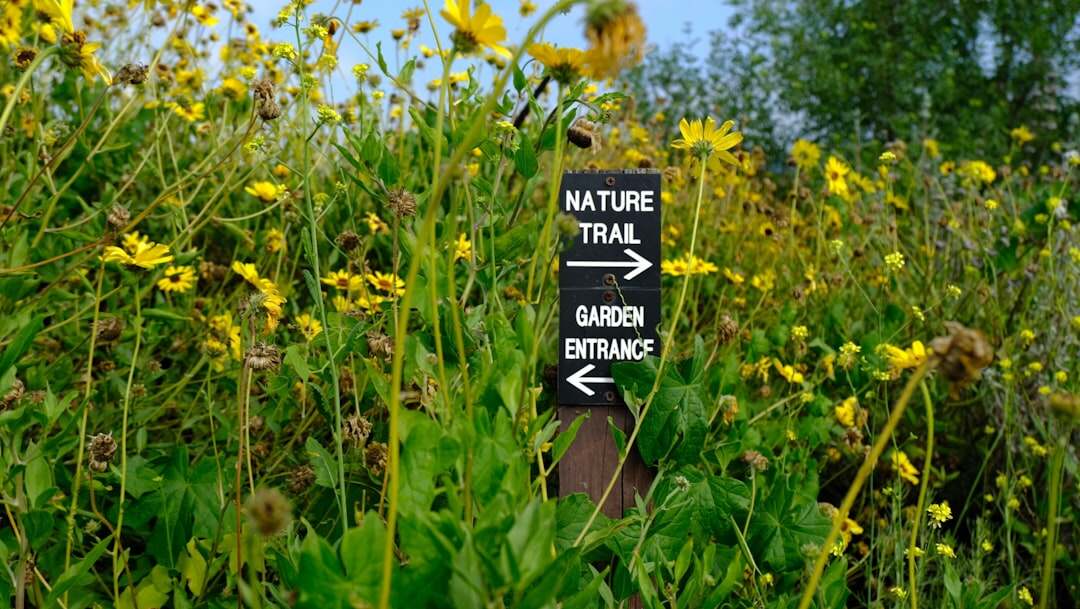 formation en naturopathie : développez vos compétences en méthodes naturelles pour améliorer la santé et le bien-être.