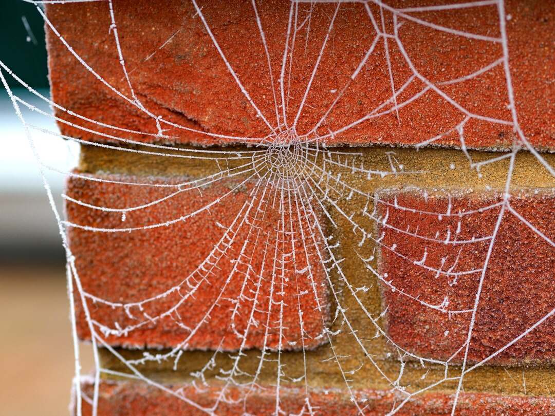 découvrez les techniques et outils de web scraping pour extraire efficacement des données web et automatiser la collecte d'informations en ligne.