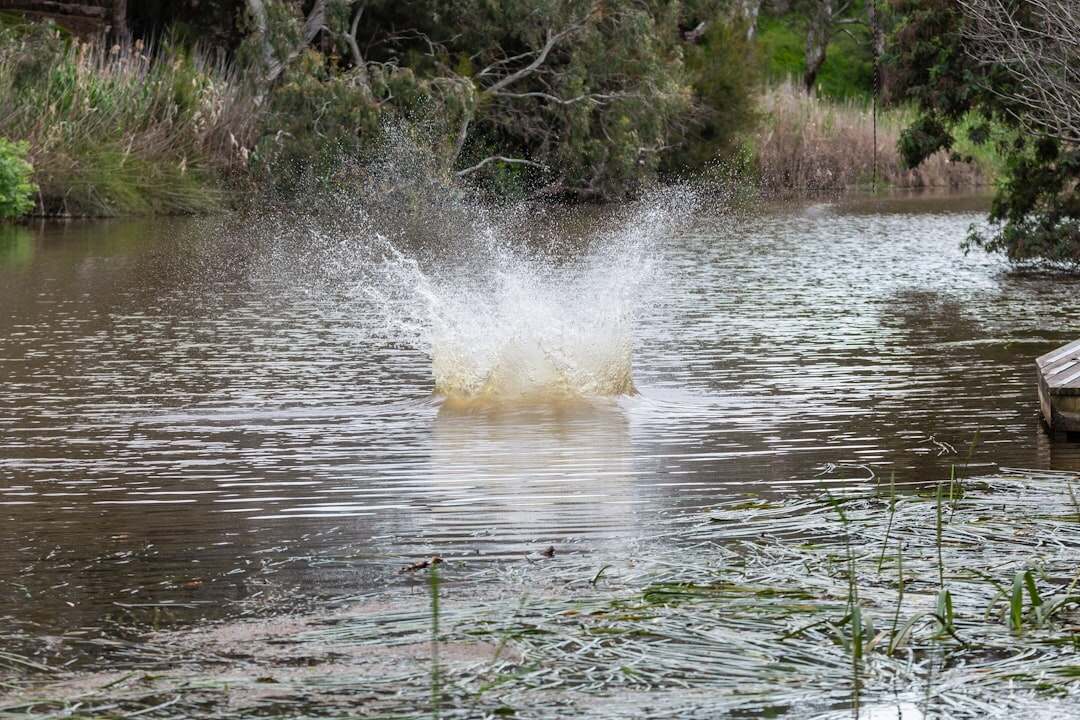 découvrez comment protéger votre système d'irrigation contre les attaques potentielles et assurer un approvisionnement en eau fiable et sécurisé pour vos cultures.