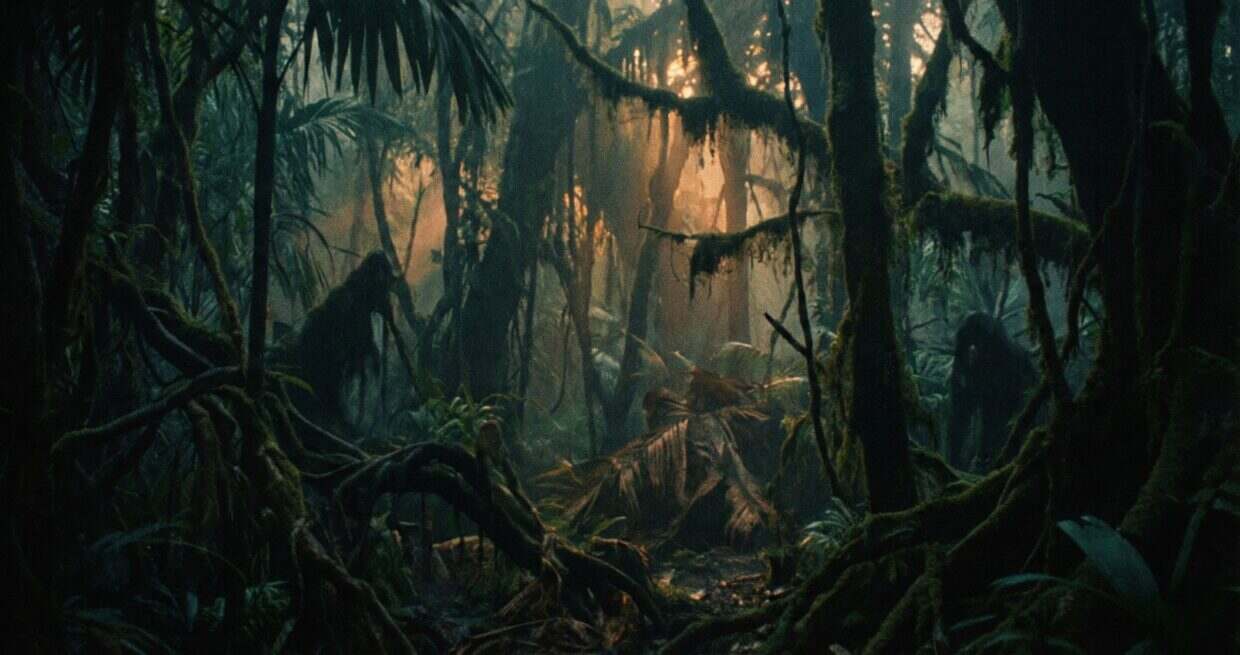Dense tropical jungle at twilight
