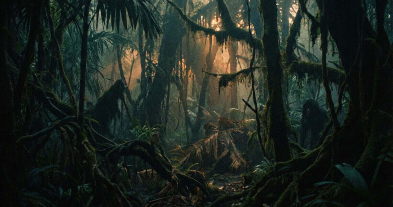 Plus terrifiant que ‘La Planète des Singes’ ? Pourquoi le film d’horreur ‘Primate’ crée le malaise en salles Dense tropical jungle at twilight
