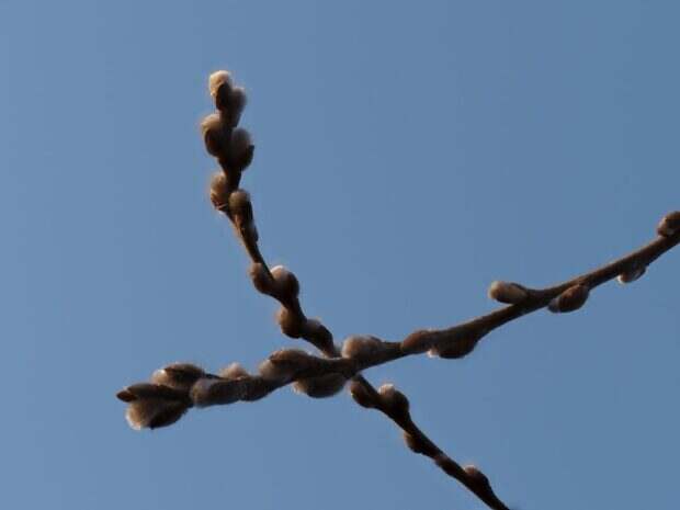 découvrez notre réseau d'agences étendu pour un service de proximité et une assistance personnalisée près de chez vous.