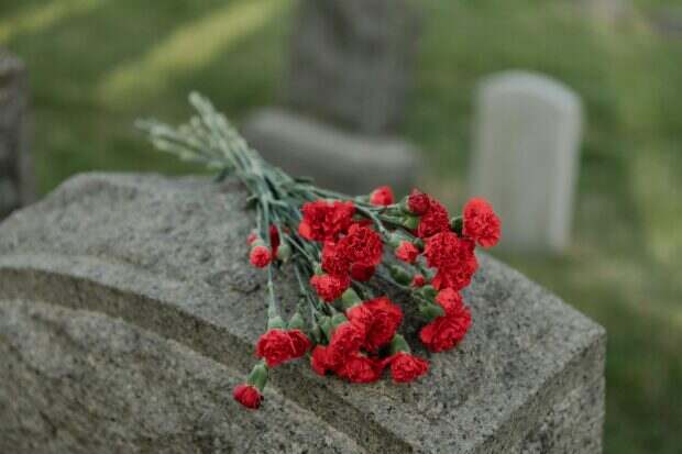 Red carnations resting on a tombstone with blurred gravestones in a peaceful cemetery.