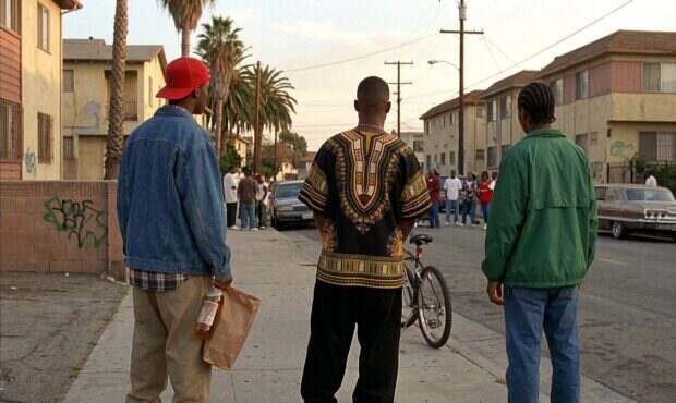 Don't Be a Menace to South Central While Drinking Your Juice in the Hood (1996)
