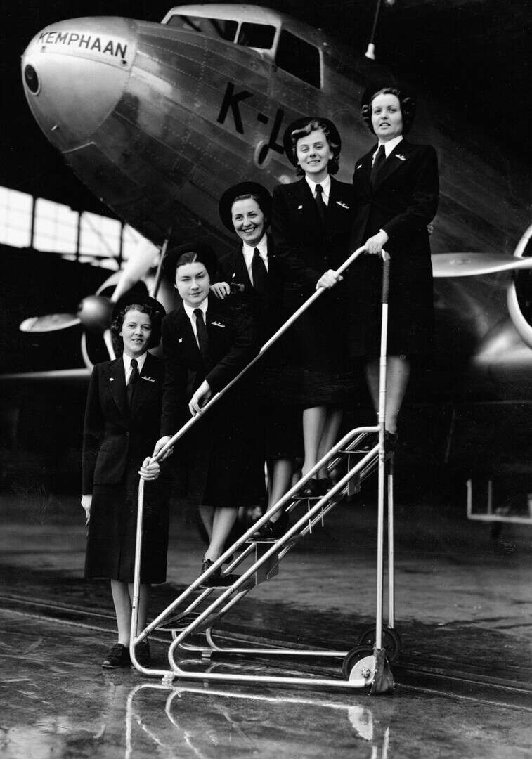 3. Formation et diplômes