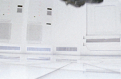 Astérix et Obélix : Mission Cléopâtre