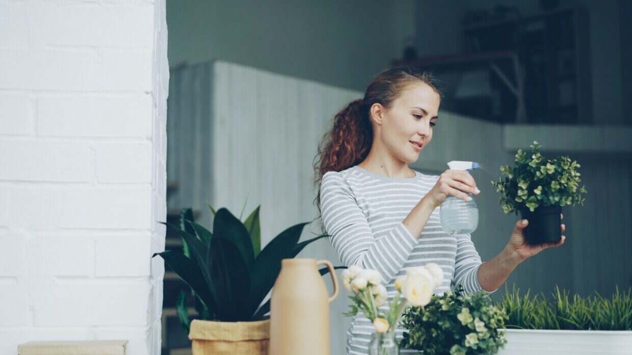 Vos plantes travaillent pour vous