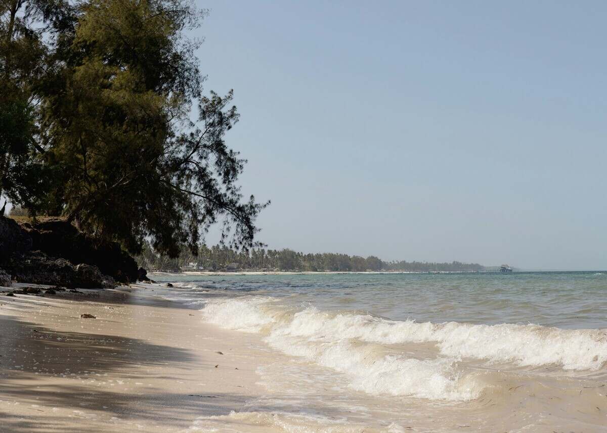 Le parcours du combattant administratif