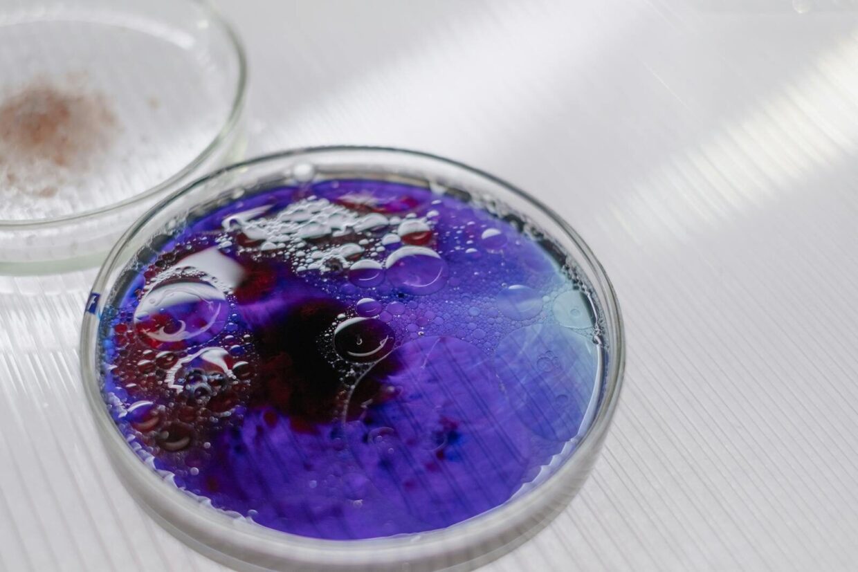 Purple liquid with bubbles in a petri dish, showcasing a scientific experiment.