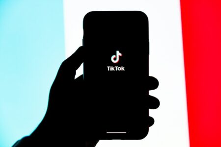 L’île de la Skibidi Tentafruit : le brainrot IA qui cartonne sur TikTok black and red smartphone case