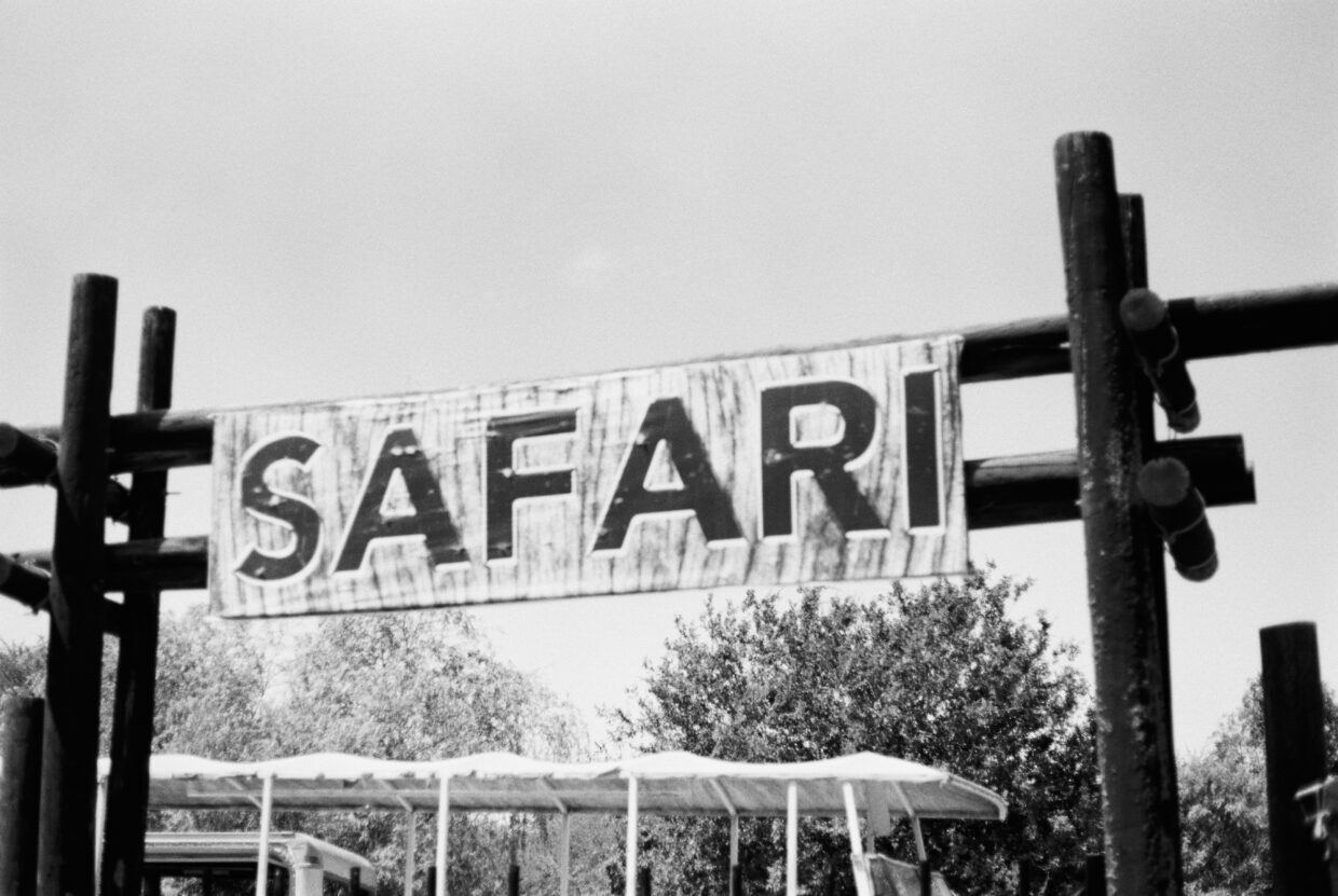 Le Kruger n'est pas un zoo géant
