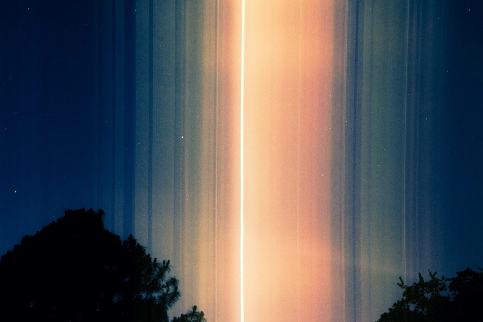 silhouette of trees under blue sky during night time