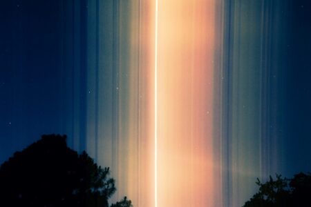 silhouette of trees under blue sky during night time