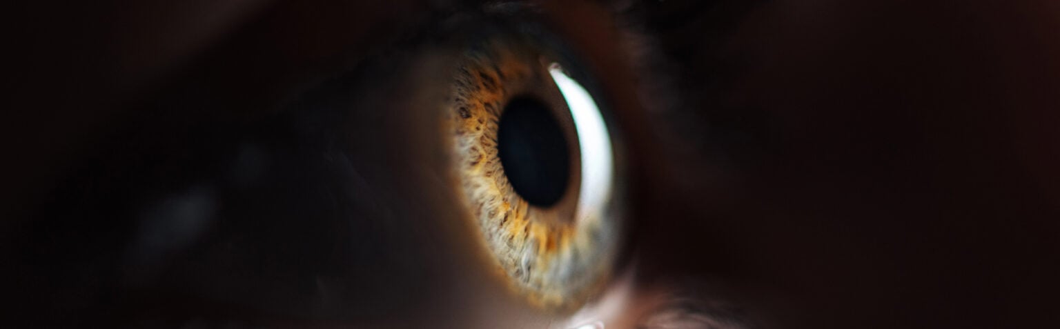 EYES